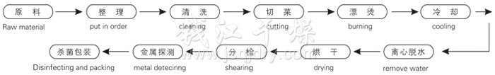 脫水（shuǐ）蔬菜帶式（shì）幹（gàn）燥工藝流程